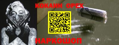 сатива Новозыбков