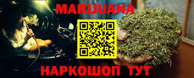 сатива Новозыбков