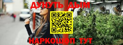 сатива Новозыбков