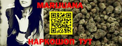 сатива Новозыбков