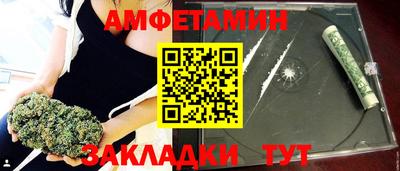 сатива Новозыбков