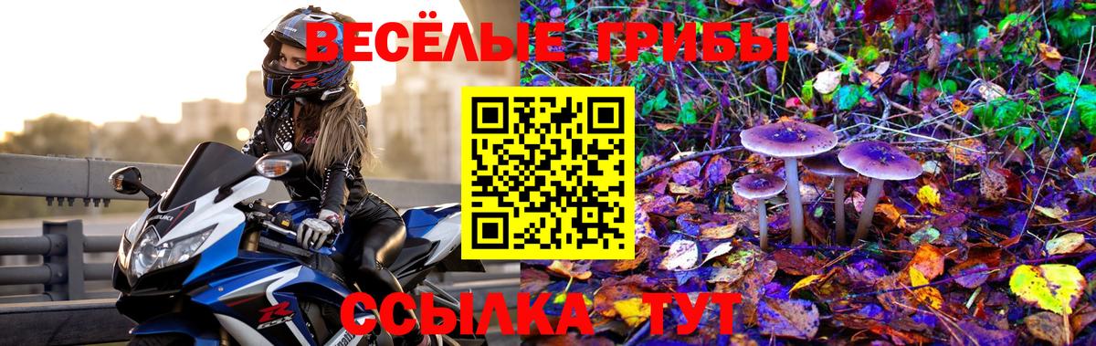 Галлюциногенные грибы мицелий Славянск-на-Кубани