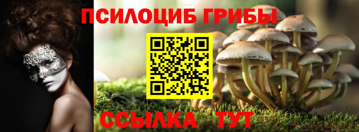 купить наркоту  Галлюциногенные грибы ЛСД  Вход с VPN  Славянск-на-Кубани  Галлюциногенные грибы мицелий 